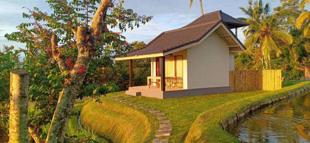 Kubu D'Ume Homestay Jatiluwih Dış mekan fotoğraf