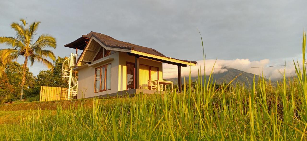 Kubu D'Ume Homestay Jatiluwih Dış mekan fotoğraf