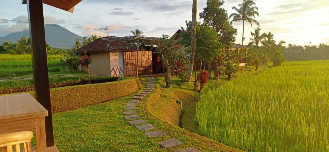 Kubu D'Ume Homestay Jatiluwih Dış mekan fotoğraf