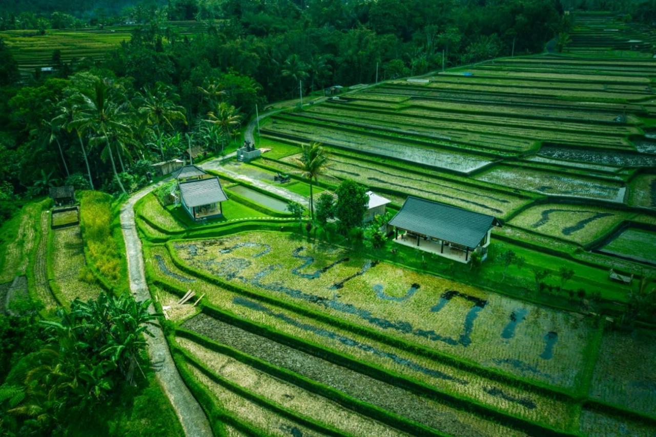 Kubu D'Ume Homestay Jatiluwih Dış mekan fotoğraf