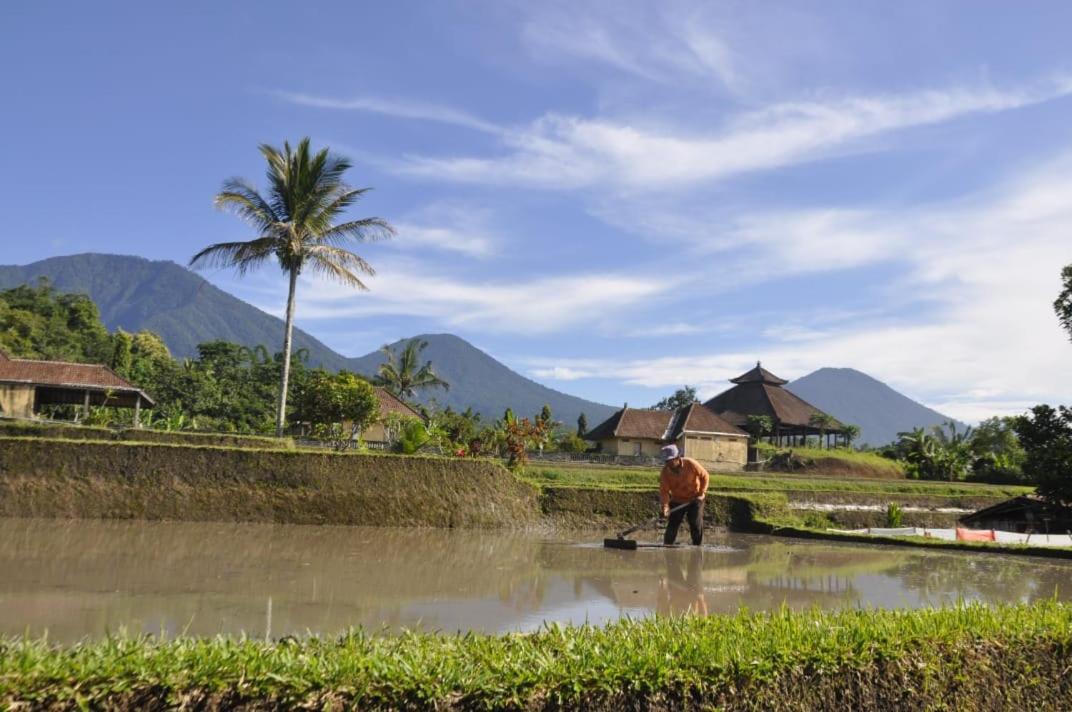 Kubu D'Ume Homestay Jatiluwih Dış mekan fotoğraf