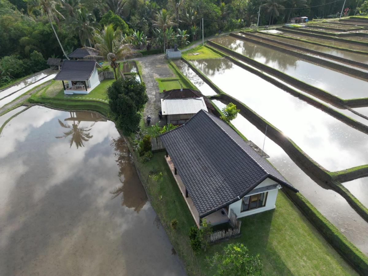Kubu D'Ume Homestay Jatiluwih Dış mekan fotoğraf