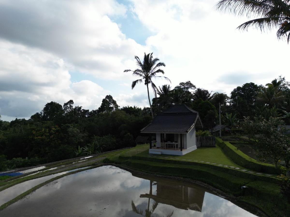Kubu D'Ume Homestay Jatiluwih Dış mekan fotoğraf