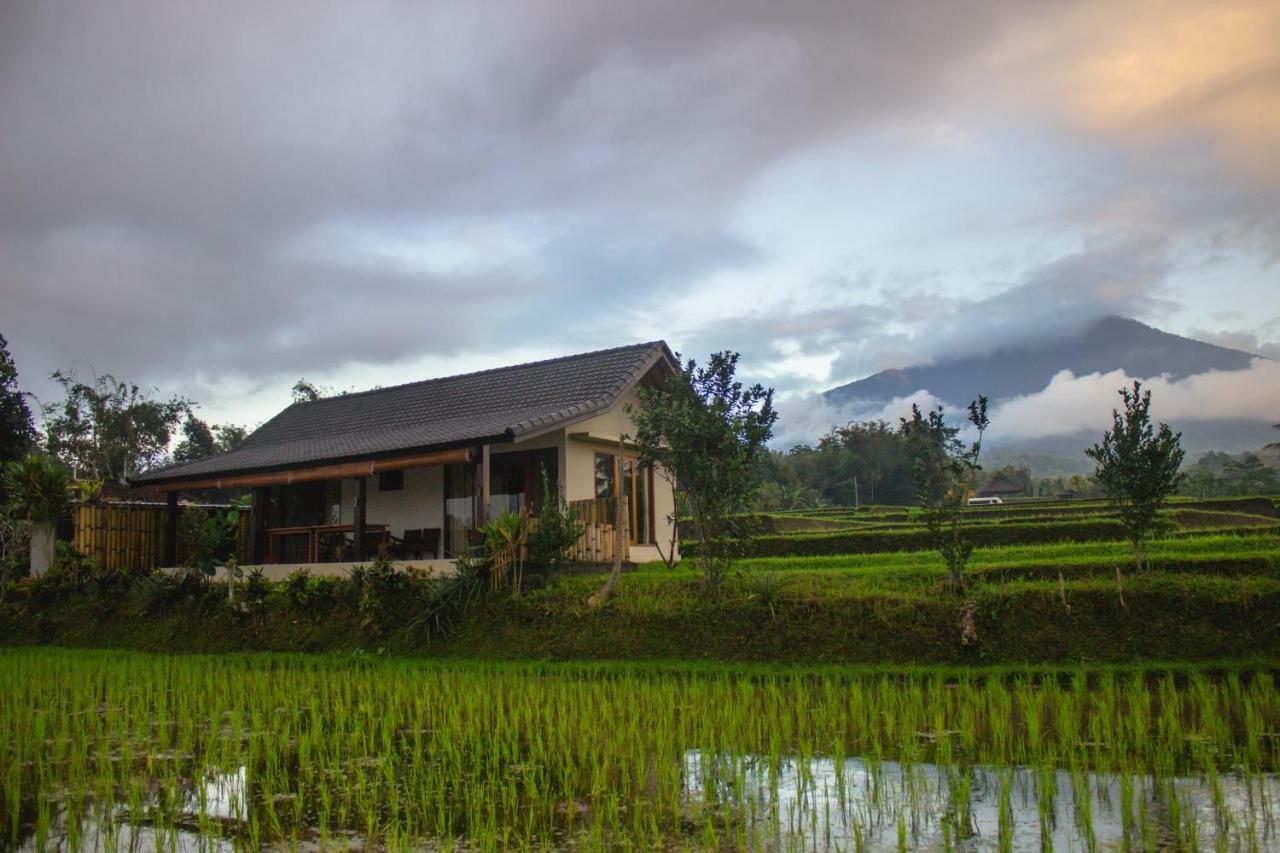 Kubu D'Ume Homestay Jatiluwih Dış mekan fotoğraf