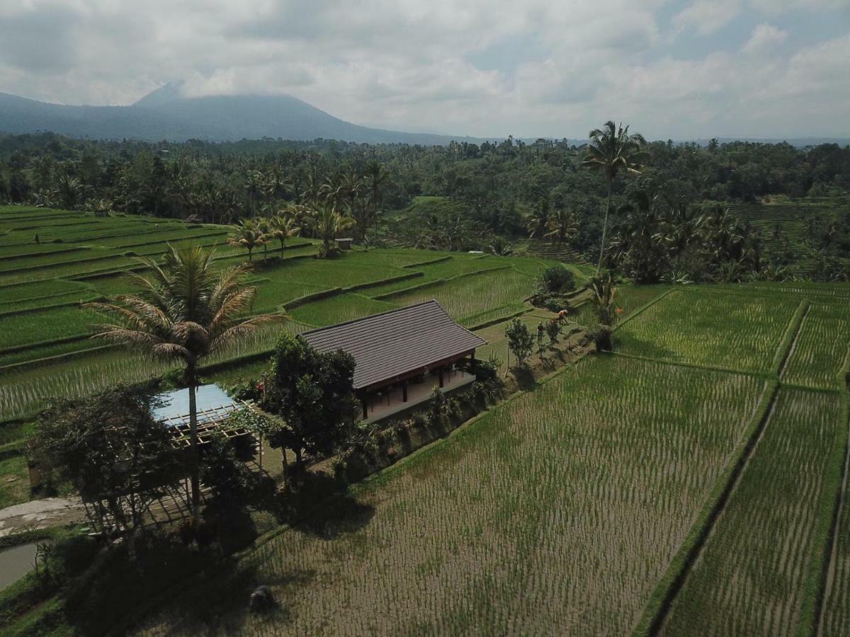 Kubu D'Ume Homestay Jatiluwih Dış mekan fotoğraf