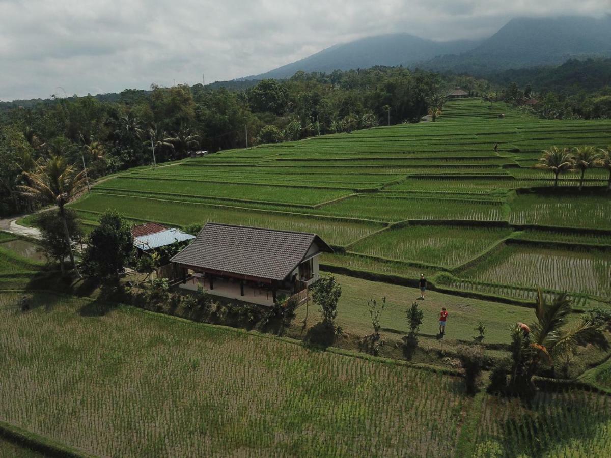 Kubu D'Ume Homestay Jatiluwih Dış mekan fotoğraf