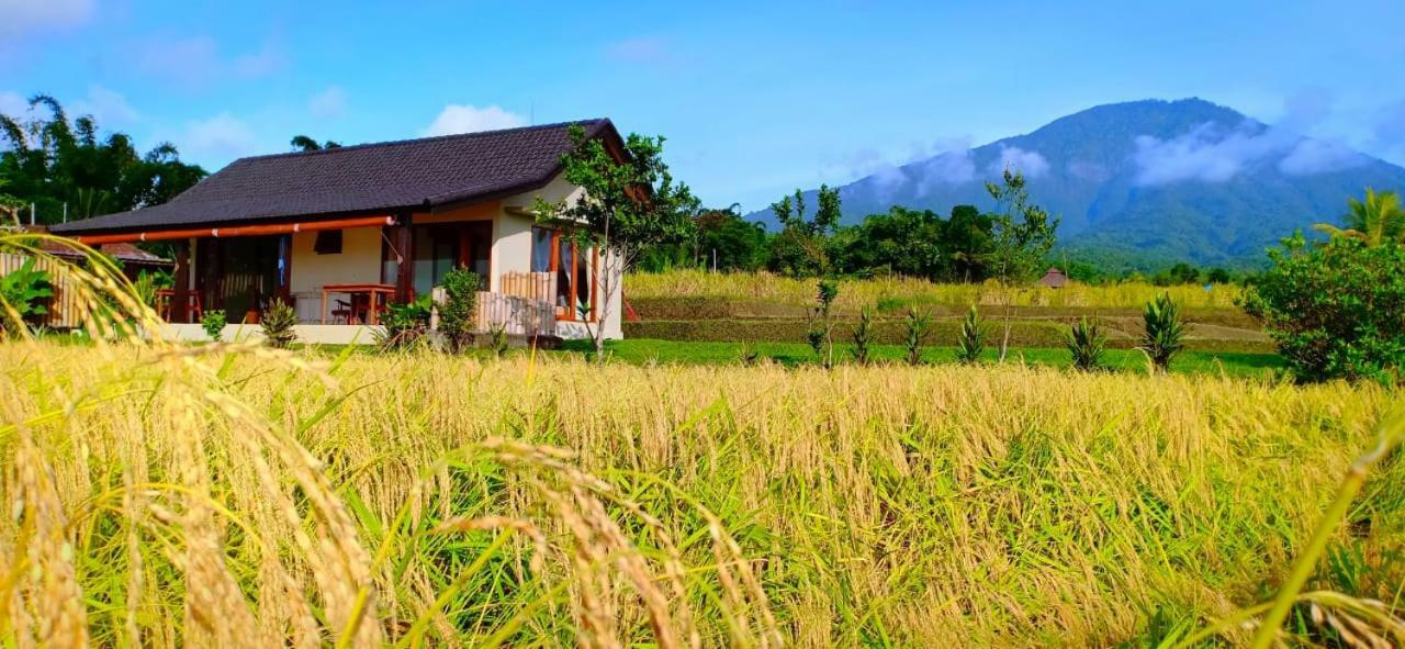 Kubu D'Ume Homestay Jatiluwih Dış mekan fotoğraf