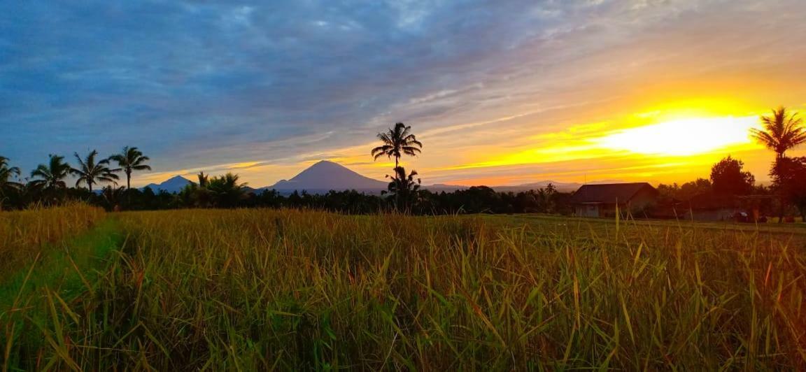 Kubu D'Ume Homestay Jatiluwih Dış mekan fotoğraf