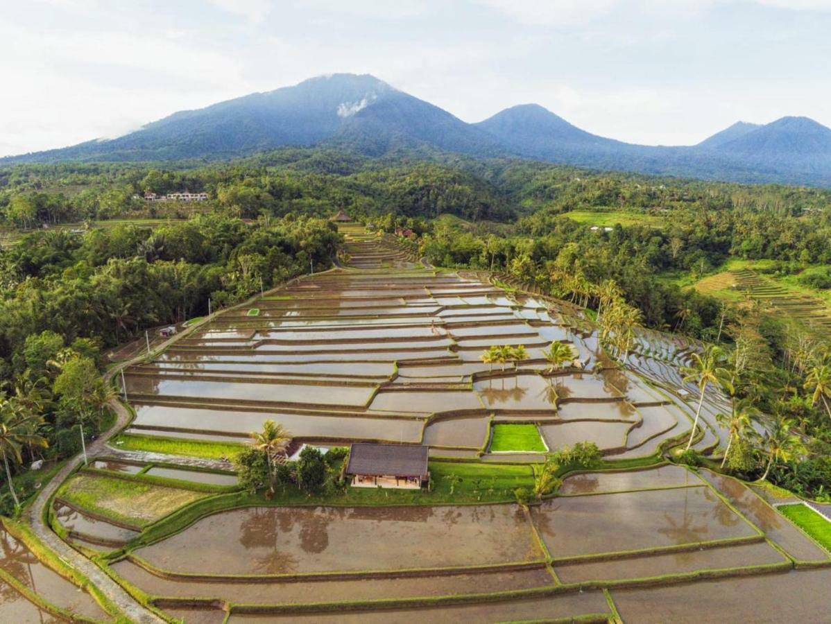 Kubu D'Ume Homestay Jatiluwih Dış mekan fotoğraf