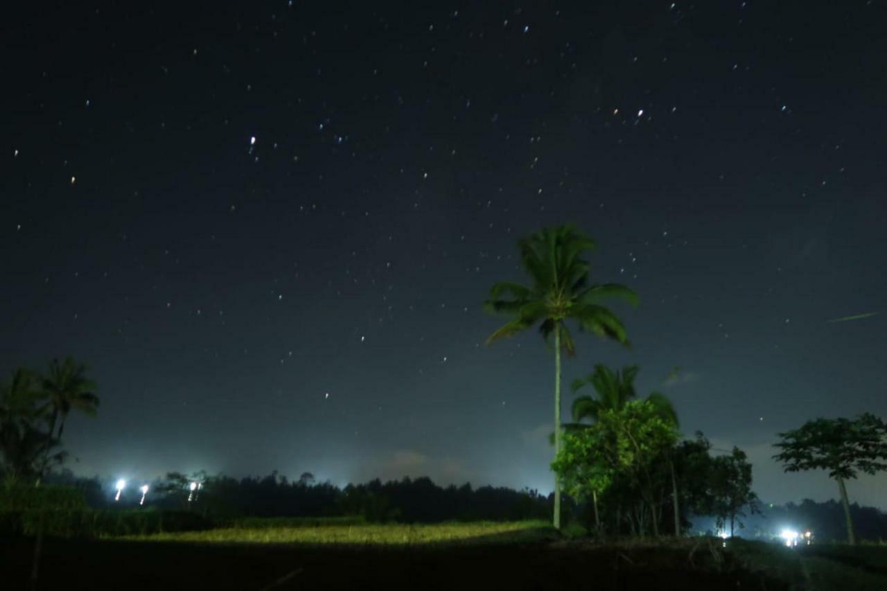 Kubu D'Ume Homestay Jatiluwih Dış mekan fotoğraf