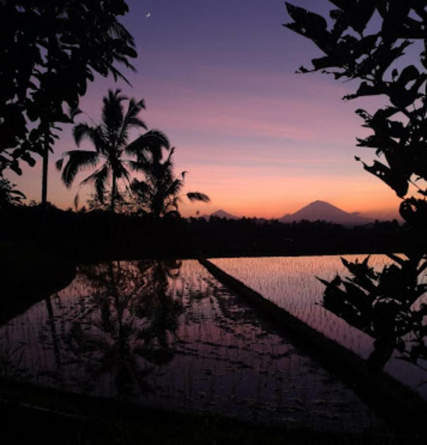 Kubu D'Ume Homestay Jatiluwih Dış mekan fotoğraf