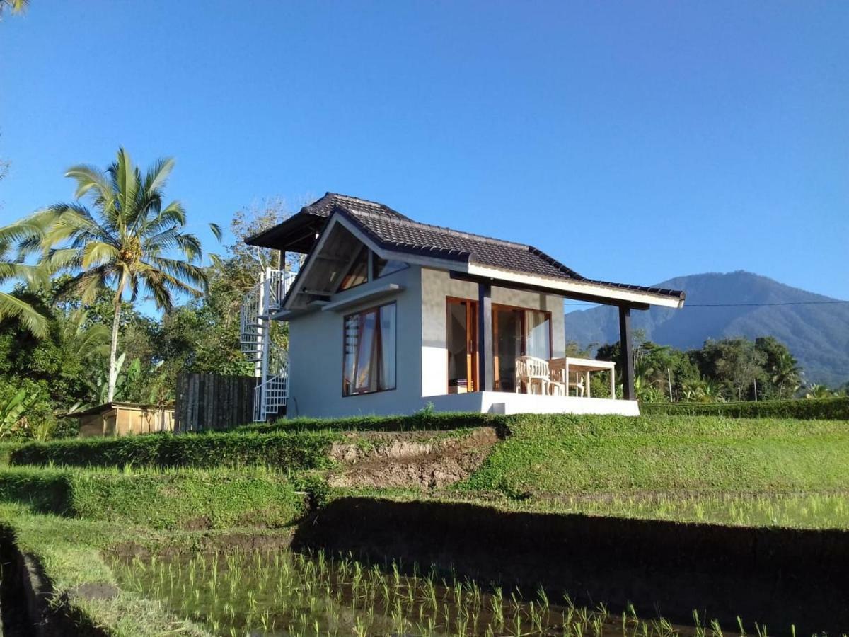 Kubu D'Ume Homestay Jatiluwih Dış mekan fotoğraf