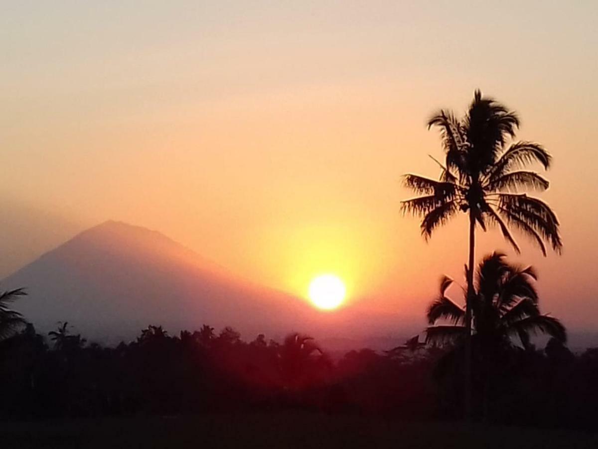 Kubu D'Ume Homestay Jatiluwih Dış mekan fotoğraf