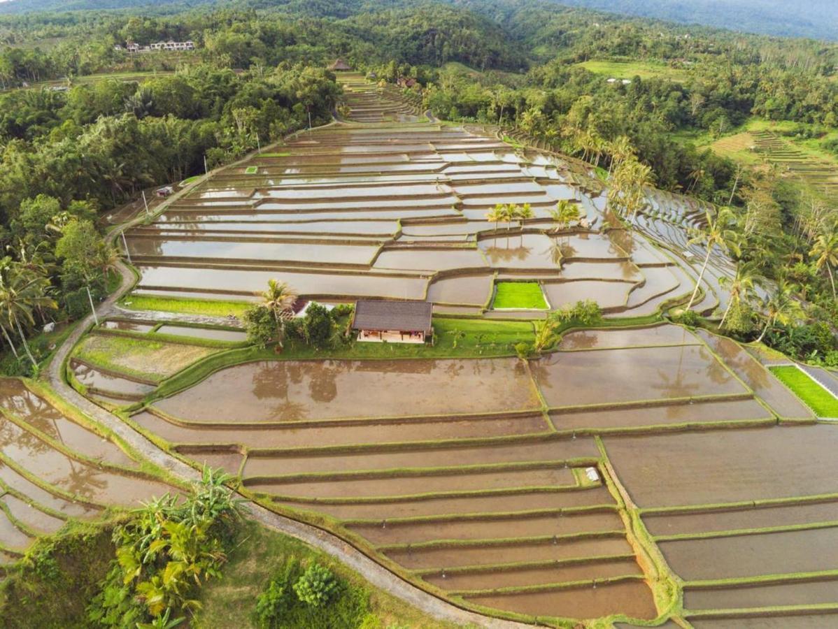 Kubu D'Ume Homestay Jatiluwih Dış mekan fotoğraf