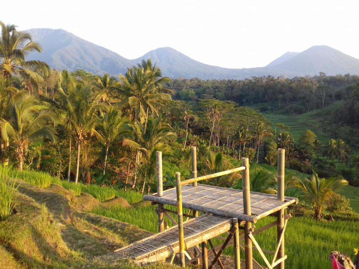 Kubu D'Ume Homestay Jatiluwih Dış mekan fotoğraf
