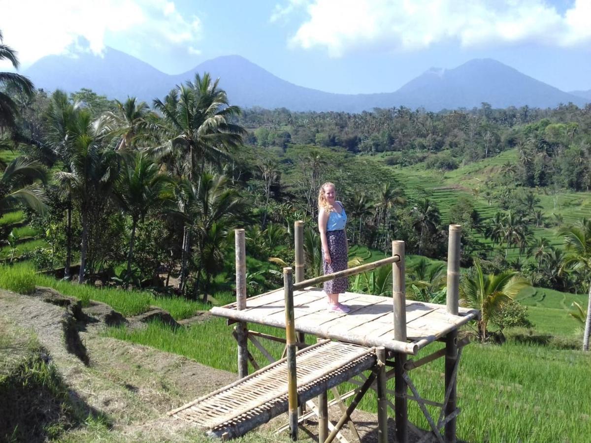 Kubu D'Ume Homestay Jatiluwih Dış mekan fotoğraf